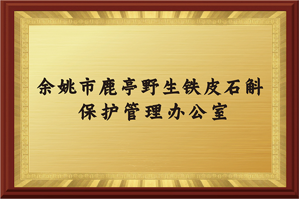 Office of Luting Wil...