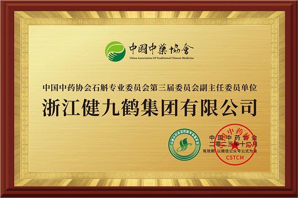 Vice Chairman of the...