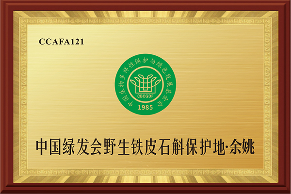 China Green Hair Ass...