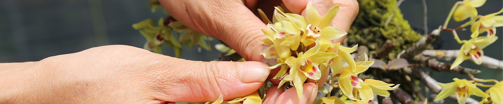 Zhejiang jianjiuhe Pharmaceutical Group Co., Ltd.